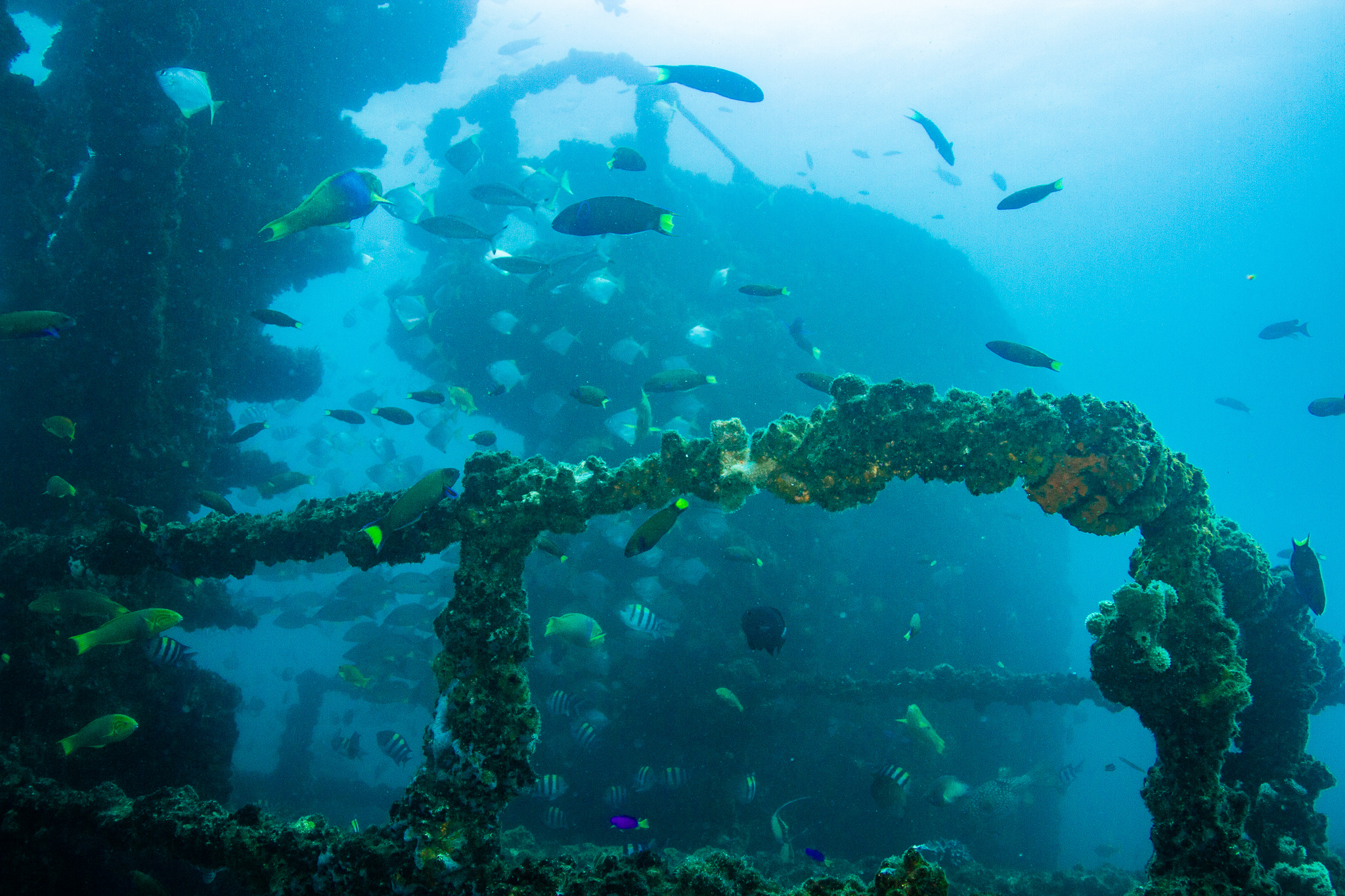 Scuba Diving ExHMAS Brisbane Monique Lives Life Travel Blogger